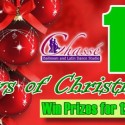 WIOG 12 Days of Christmas!